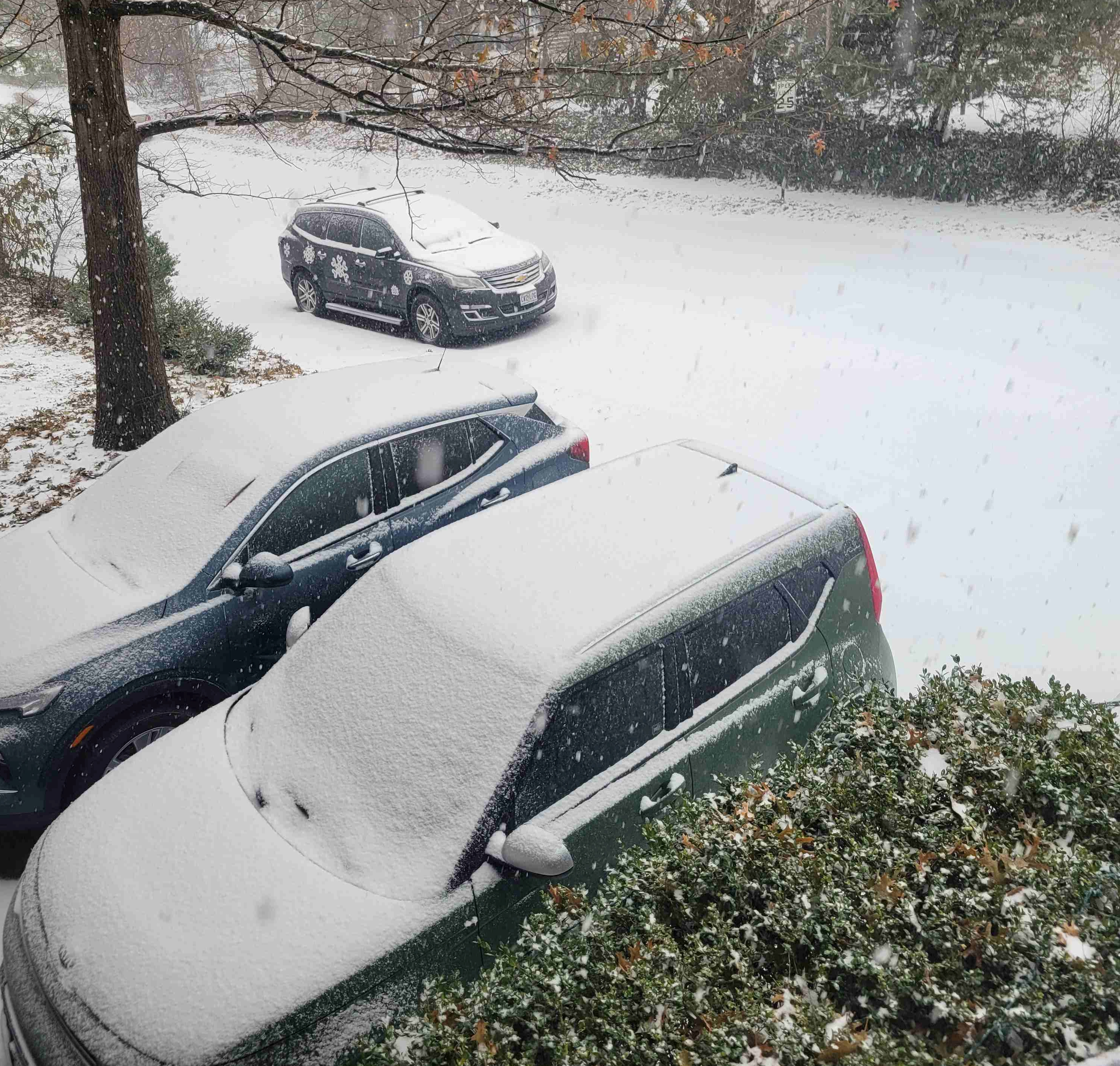 2025-01-05 Snow starts.jpg